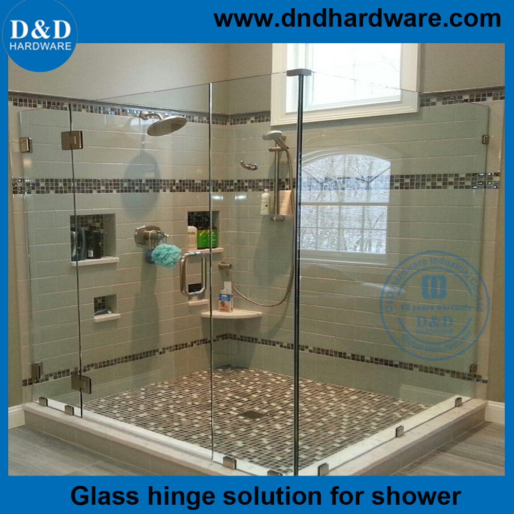 Stainless Steel Glass Door Pivot Hinge Shower Glass Door HingeDDGH001